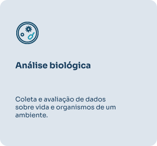 ANALISE SOLO-1