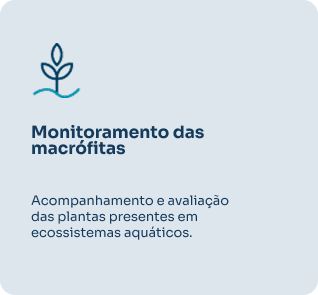 Macrofitas